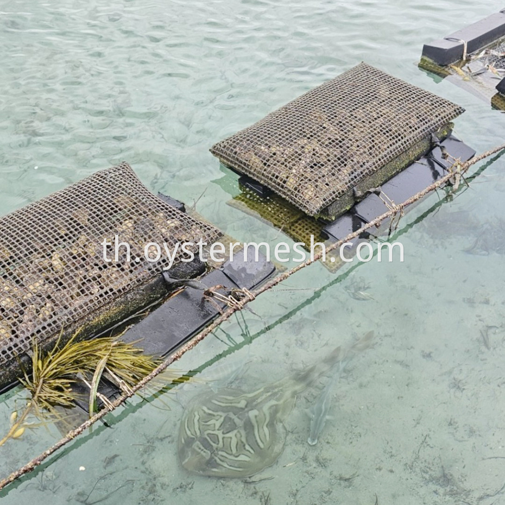 Floating Oyster Cage